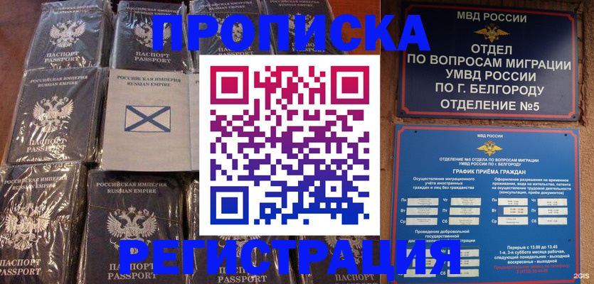 прописка гарантия в Заволжске